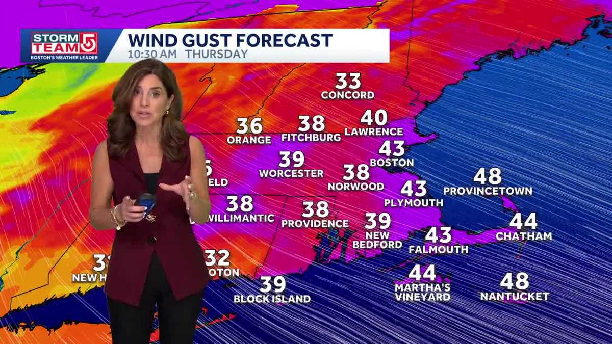 Video: Wind gusts up to 60 mph possible