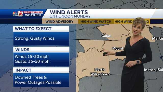 WATCH: Gusty winds into Monday, sunny skies return - Vimarsana News