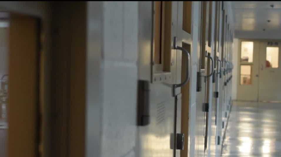 What happens to murder suspects in Bernalillo County?