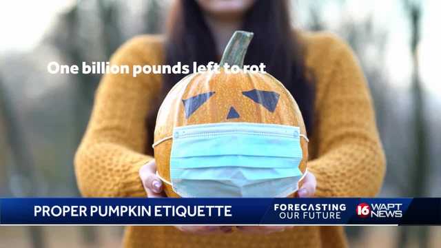 Forecasting Our Future: Proper Pumpkin Etiquette - Vimarsana News
