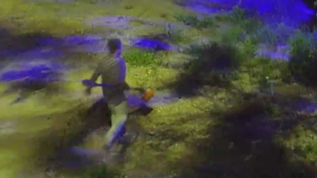 Daytona Beach business owner seeks public's help after equipment theft