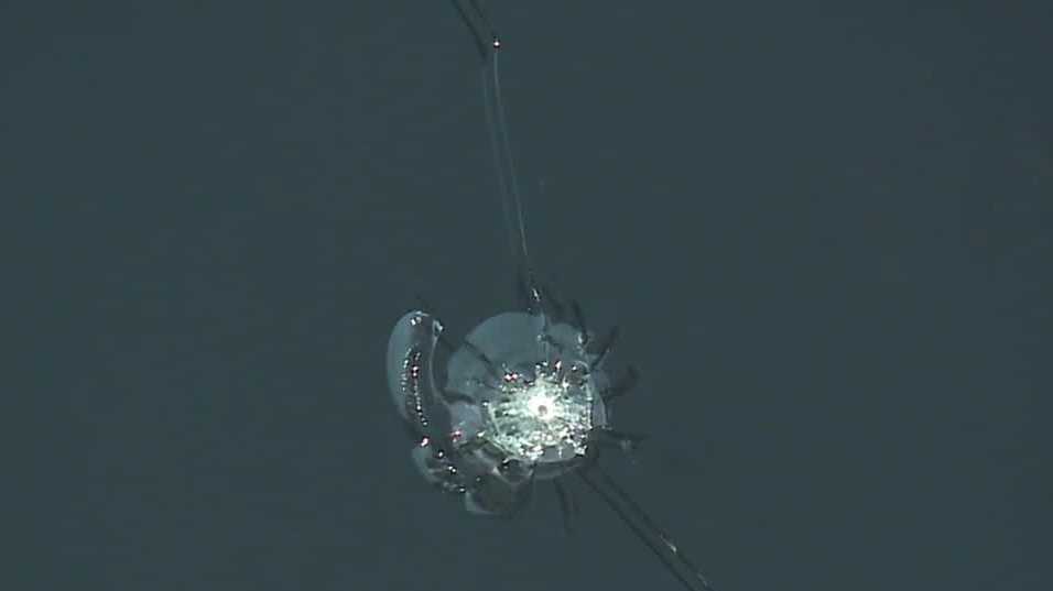 Neighbors frustrated after car windows shattered with pellet guns in ...