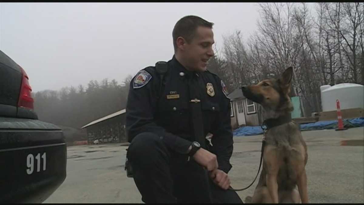 Police dog tracks down assault suspect
