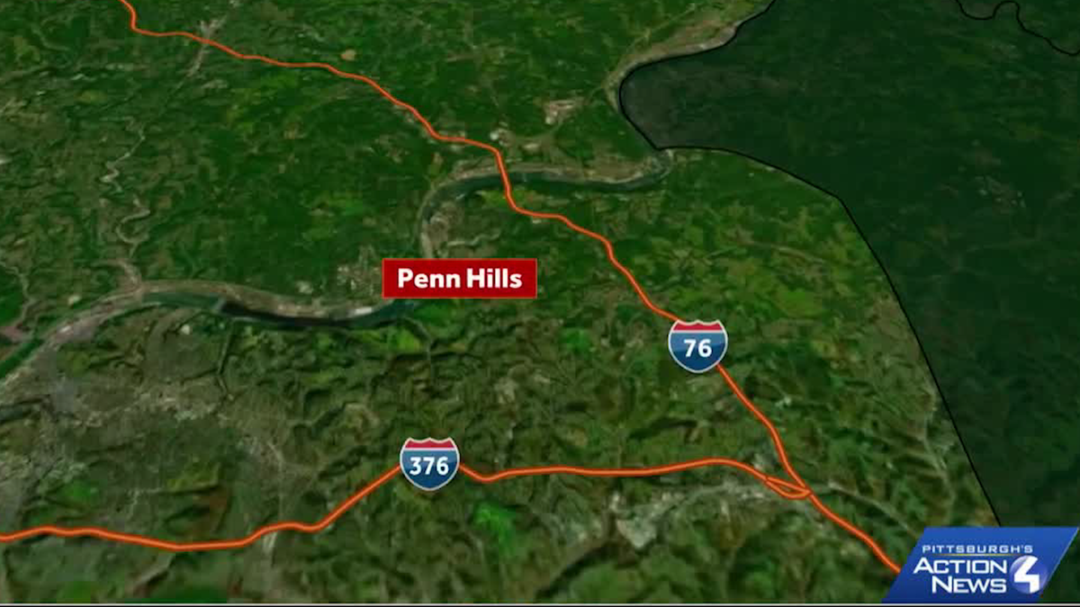 Woman found dead at home from dog bite injuries
