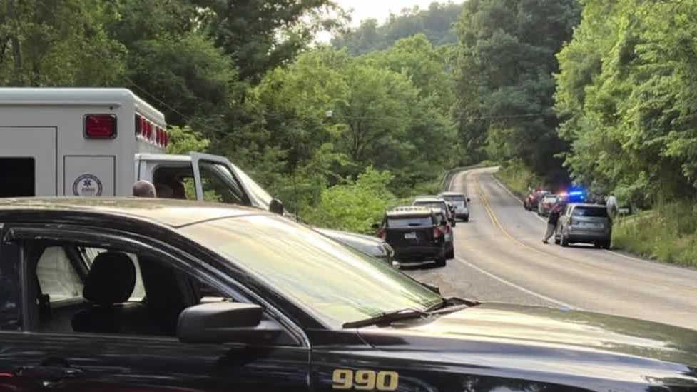 Pennsylvania woman stabbed, son's wife charged with killing her - WTAE