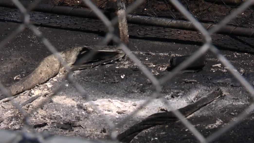 'Completely unacceptable': Orangevale Pony Baseball League struggles with repeated vandalism