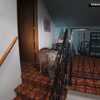 ‘Cat burglar’ bobcat found perched on stairs inside Kirkland, Washington home