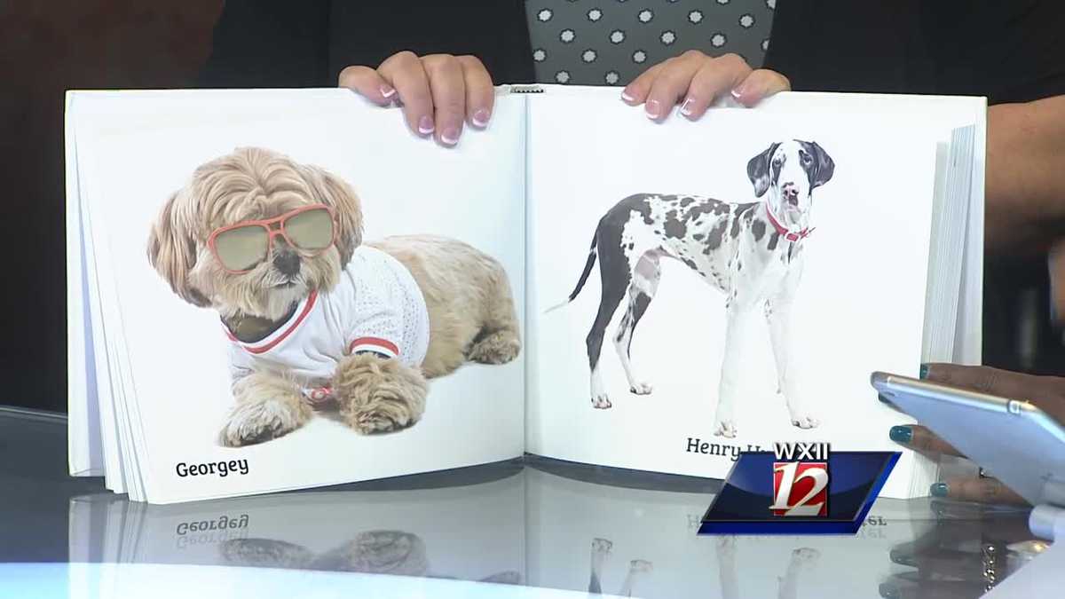 Dogs of Winston Salem