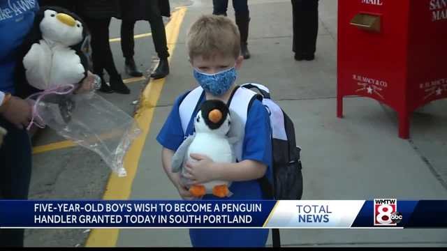 Little boy's wish to become a penguin handler granted - Vimarsana News