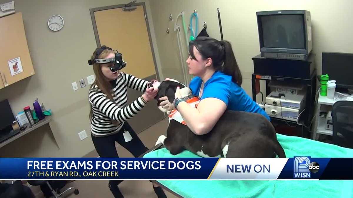 Vets offer free eye exams to service dogs