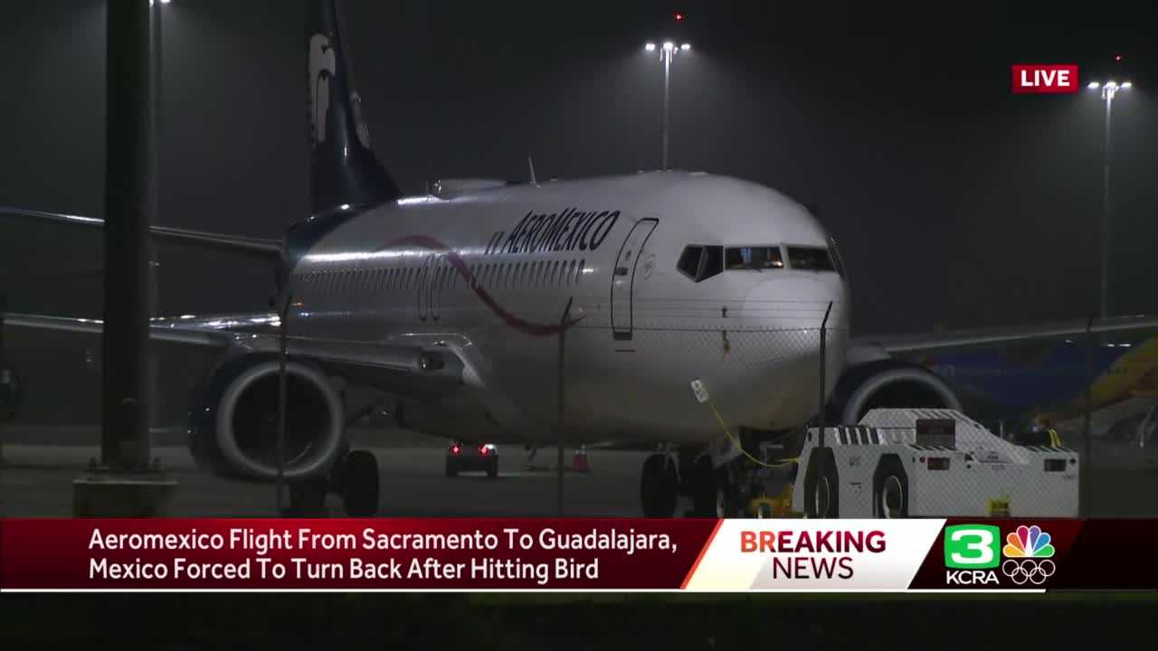 Bird strike forces airplane to make emergency landing at SMF