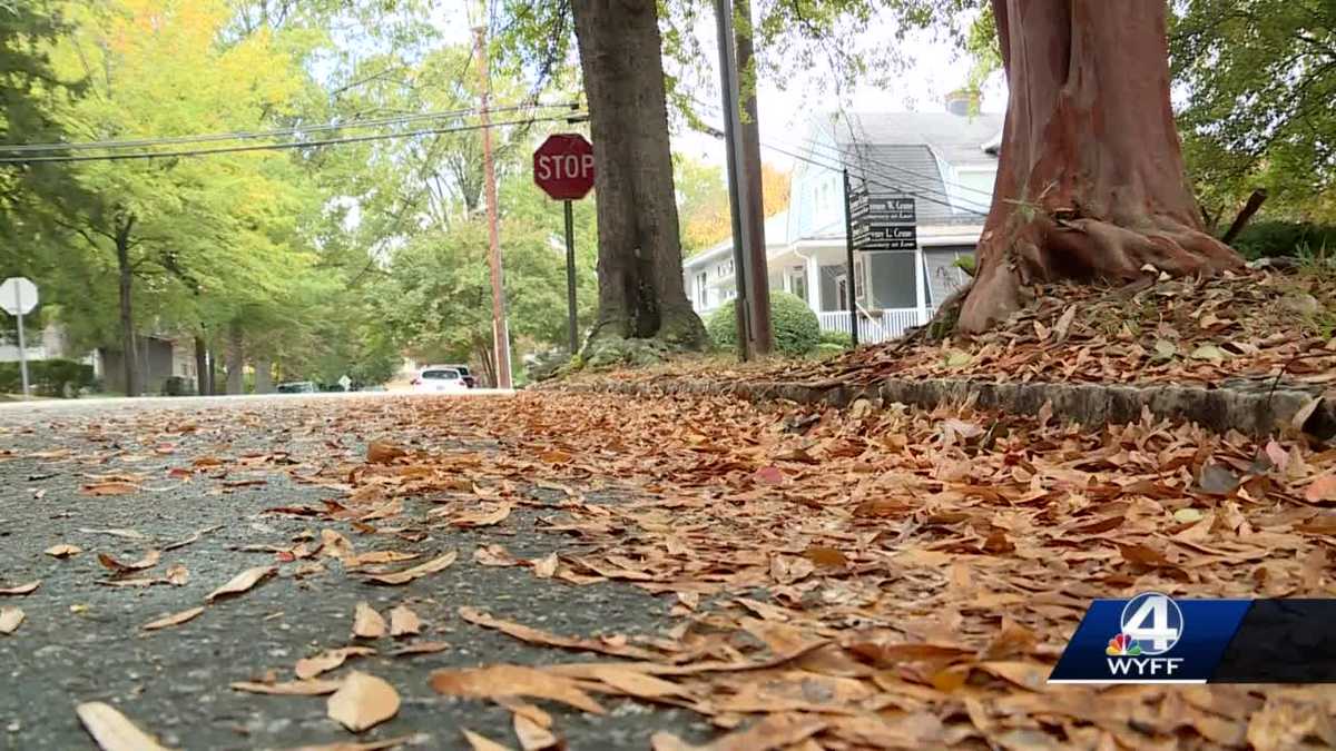 South Carolina Forecasting Our Future Drought & allergies