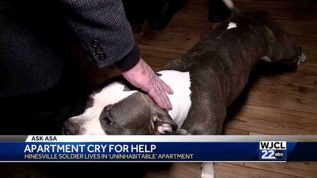 Ask Asa: Apartment Cry for Help - Vimarsana News