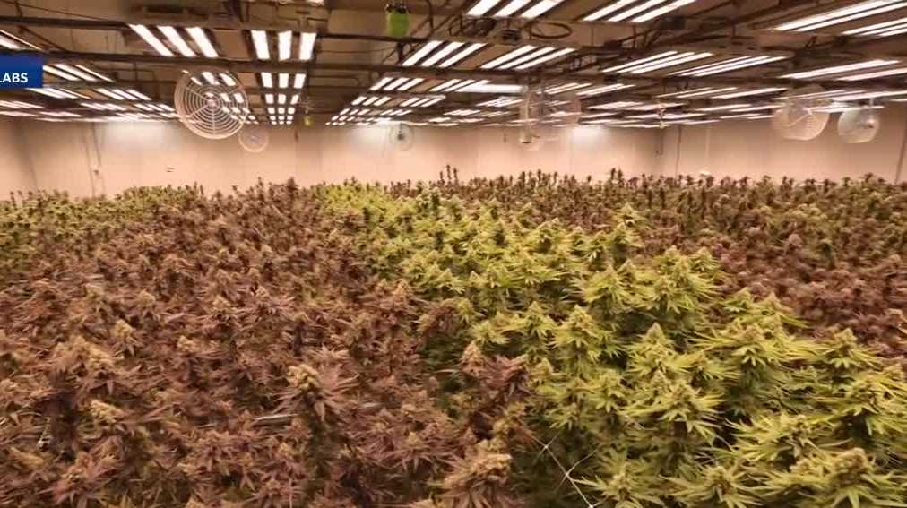 Get the Facts: How does DOJ easing restrictions on medical marijuana impact Kentucky?