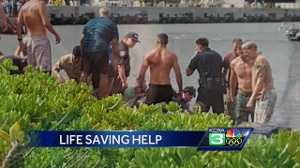 California couple helps victims of helicopter crash in Hawaii