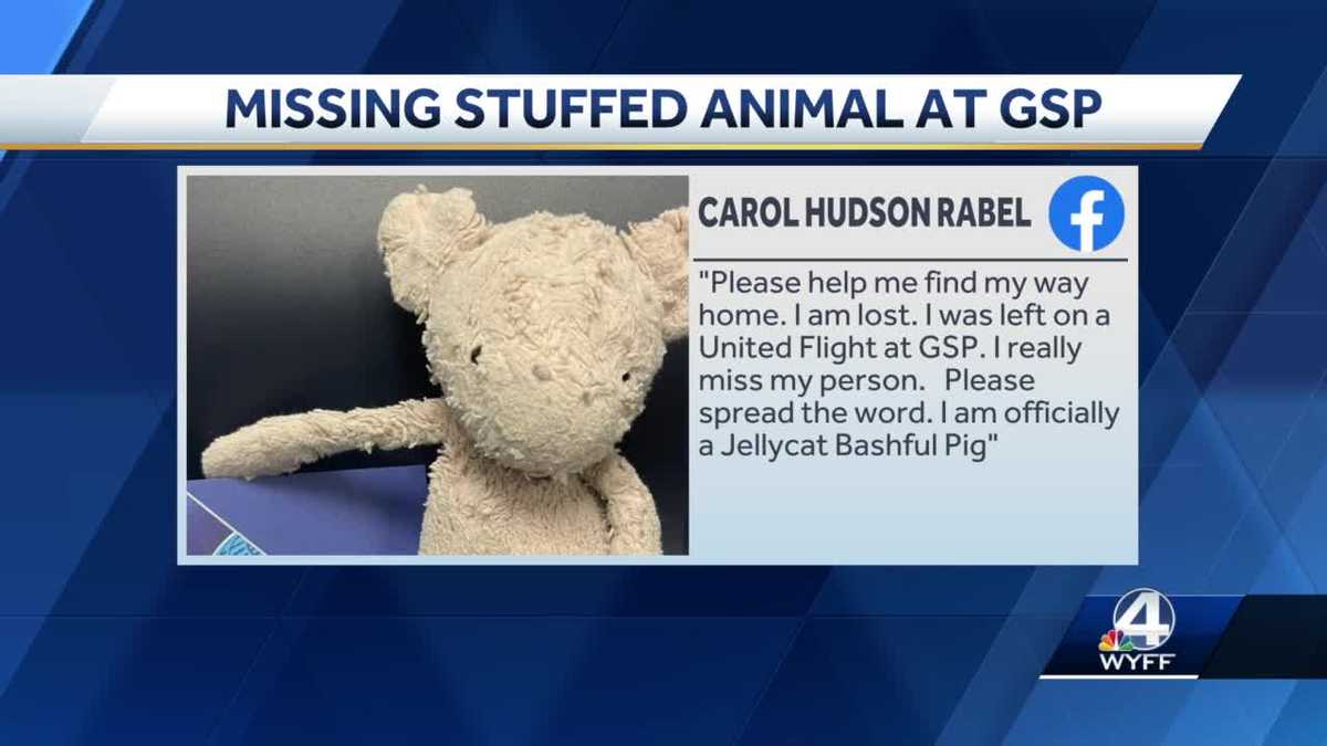 lost stuffed animal