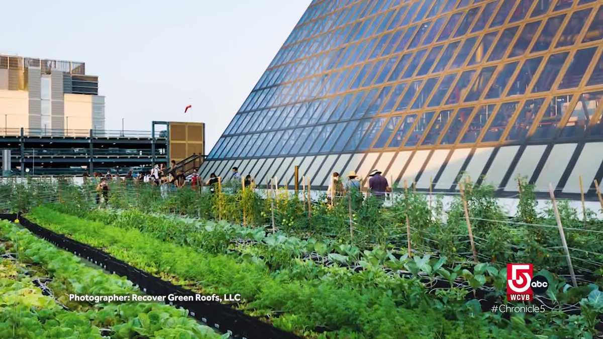 Oldworld crafts get modern updates