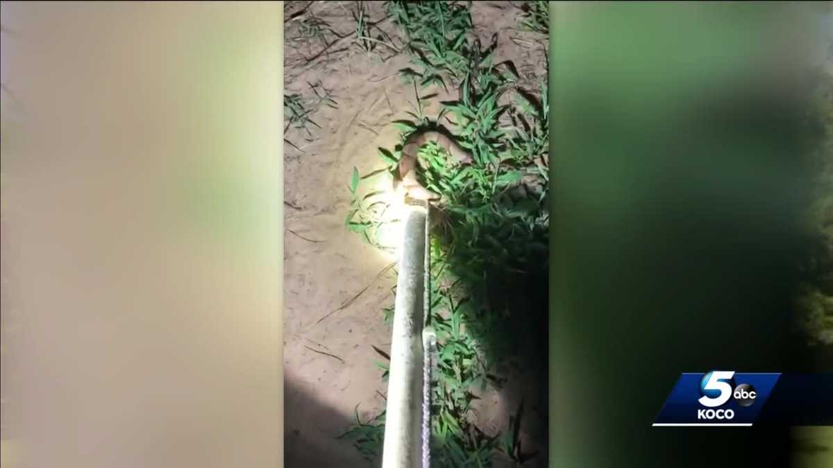 More copperhead snake sightings reported across Oklahoma