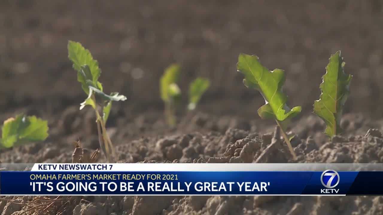 Omaha Farmer's Market produce vendors ready their produce for the 2021 season - Vimarsana News