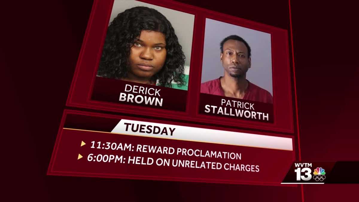 TIMELINE Disappearance of Kamille "Cupcake" McKinney