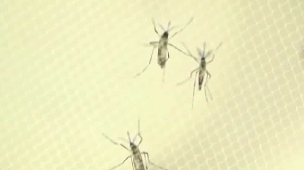 Eastern equine encephalitis awareness in New Hampshire