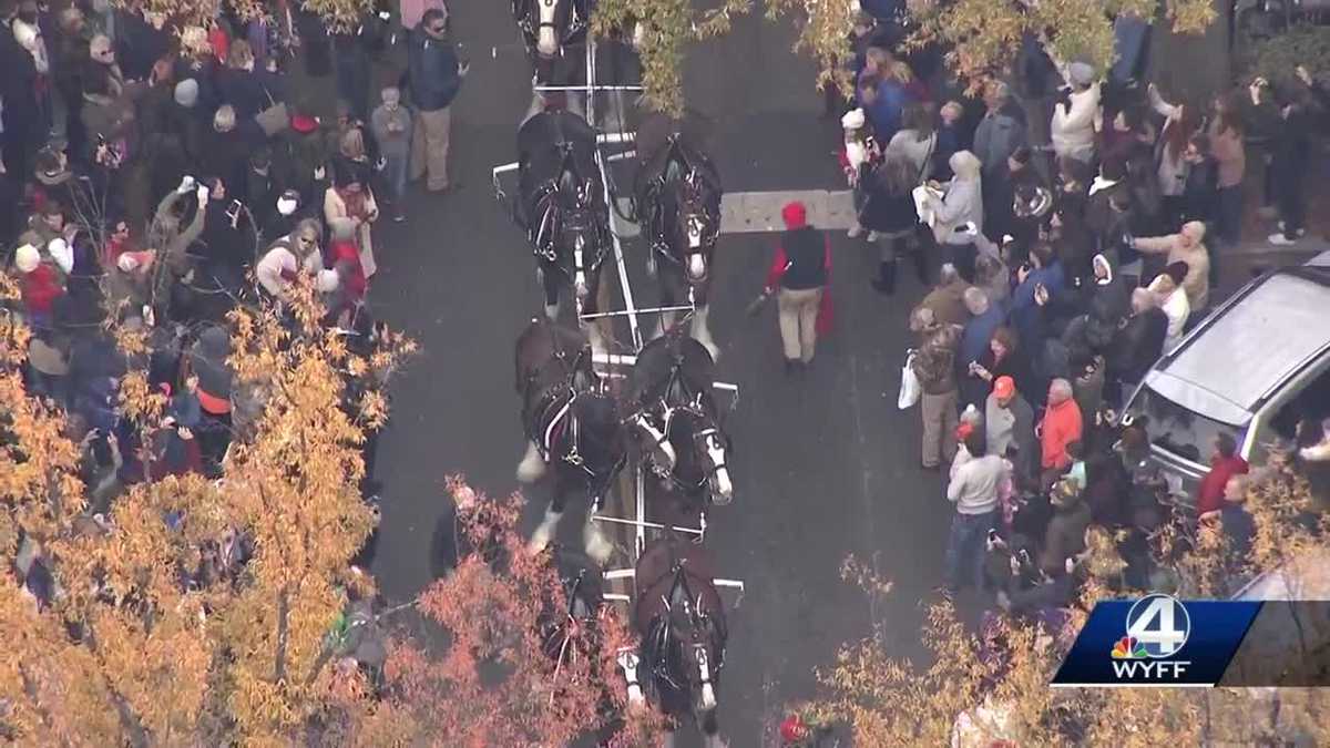 Budweiser Clydesdales Greenville visit