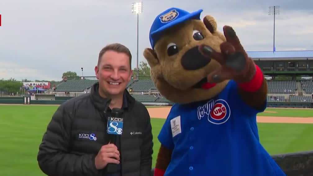 'Teach me how to Cubbie': A day in the life of the Iowa Cubs' mascot
