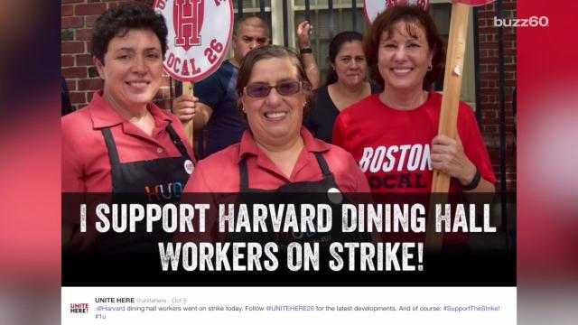 Harvard Students Stockpiling Food Due To Campus Strike