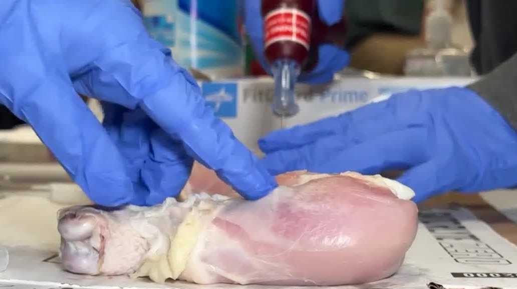 ポーツマス・ヘルスケアで開催されたキャリアエキスポに数百人の学生が参加