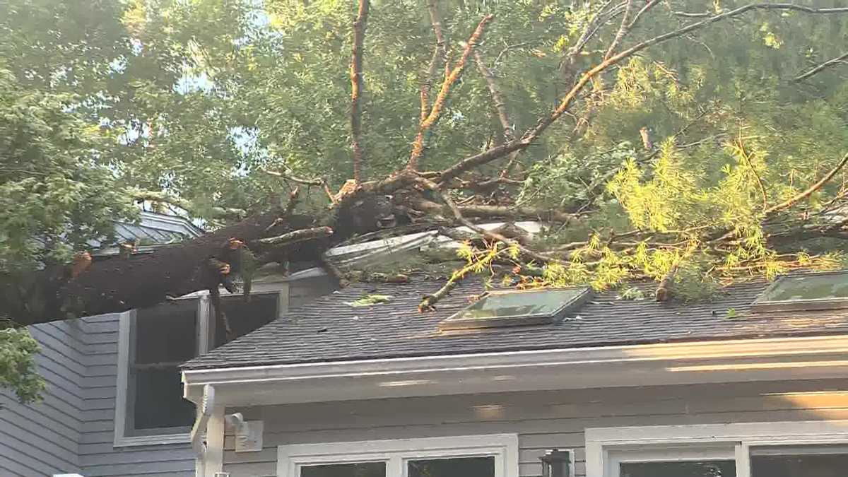 Trees come crashing onto Hollis, NH, homes after summer storms