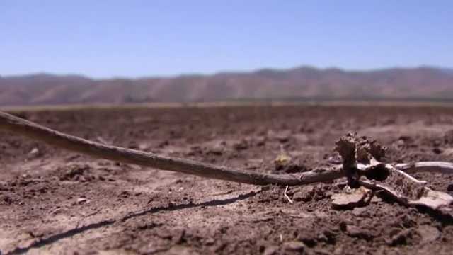 Q&A: What is the solution to California's drought? - Vimarsana News