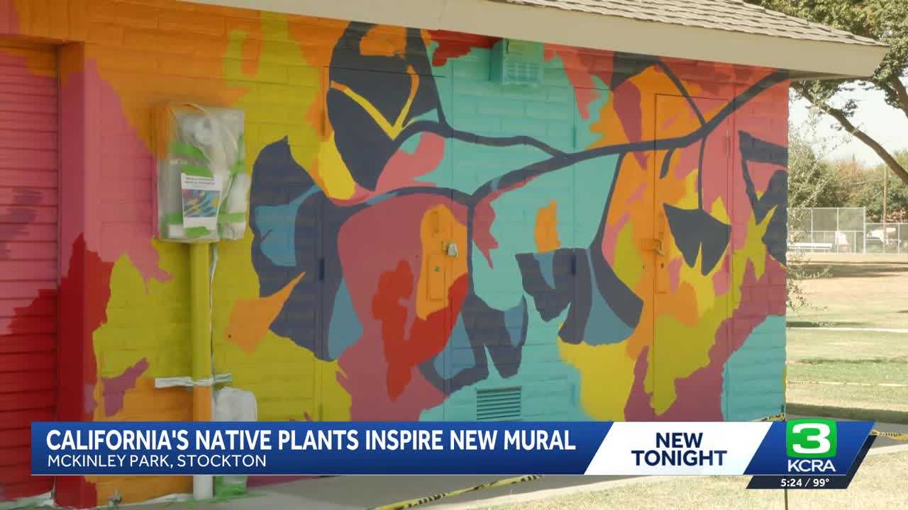 Stockton mural highlights native plants and community diversity