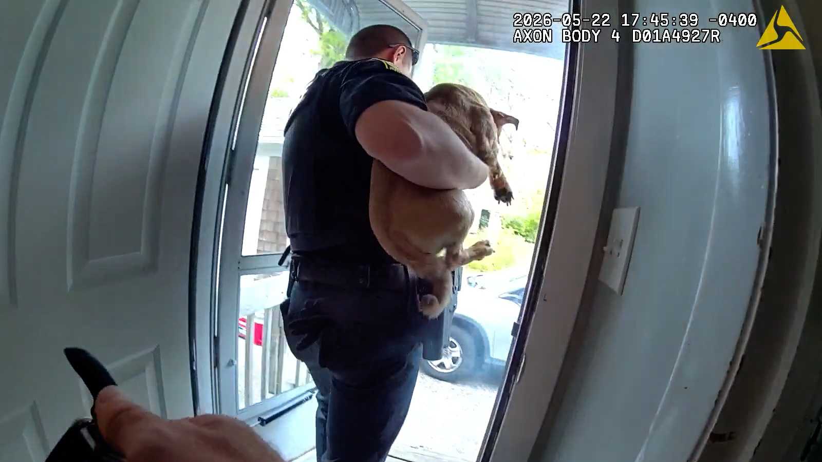 Body camera footage: Police rescue dog from Cape Cod house fire