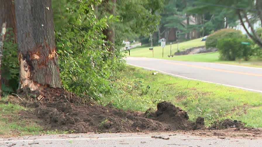 1 hospitalized after collision with tree in Londonderry, NH