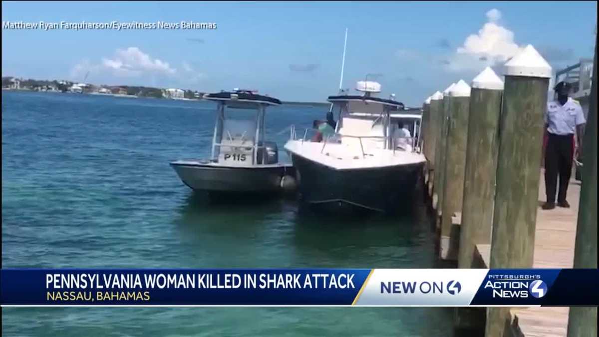 shark attack: In a shark attack, Pennsylvanian woman dies in