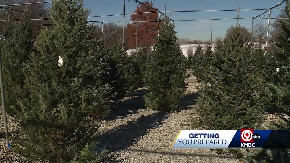 Christmas tree sellers in Kansas City play catchup amidst challenging