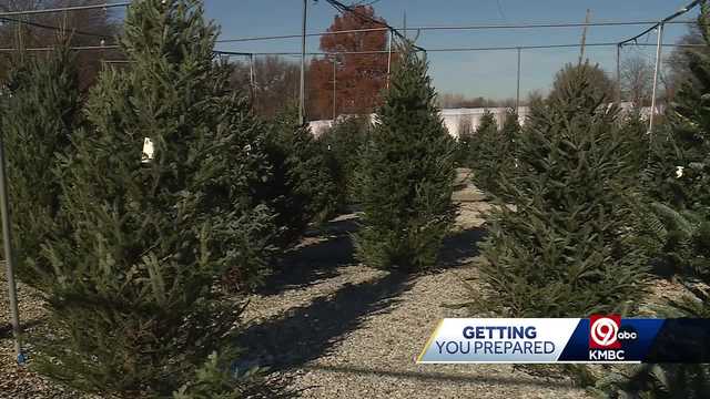 Christmas tree sellers in Kansas City play catchup amidst challenging conditions - Vimarsana News