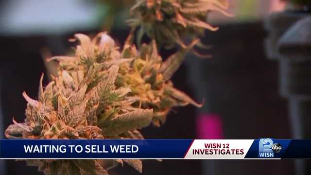 The costs of legalizing marijuana in Wisconsin - Vimarsana News