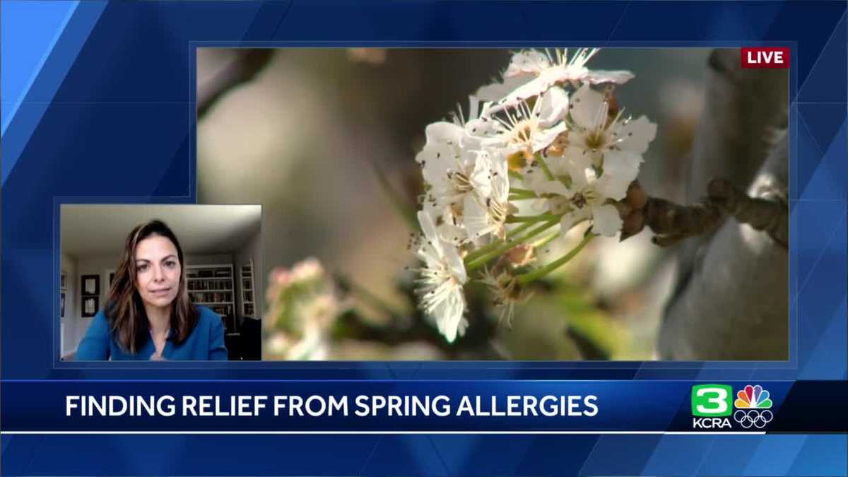 Here are tips for finding relief from spring allergies