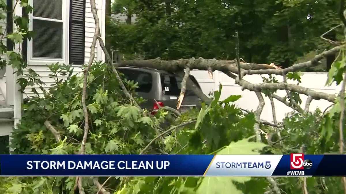 Residents cleaning up after strong storms tear down trees, damage property