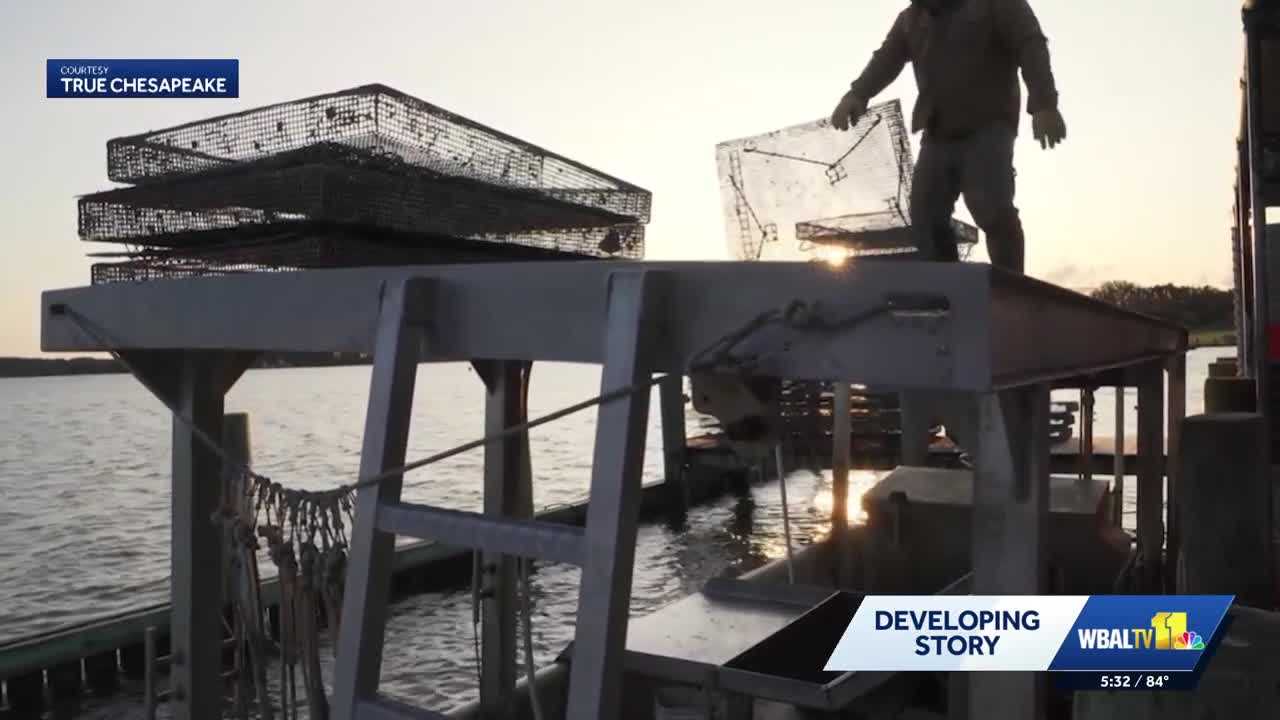 wbaltv.com - Breana Ross - Baltimore oyster farm export deal hit by Canada tariffs
