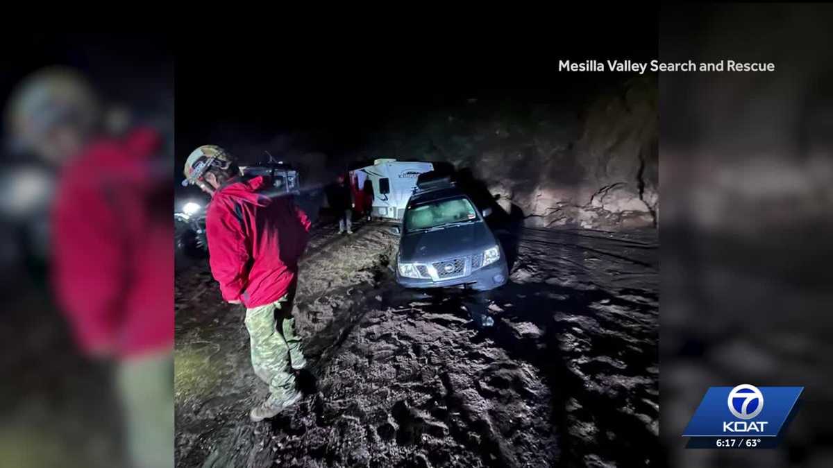 Driver and dog rescued after storm left car stranded in a wash - KOAT
