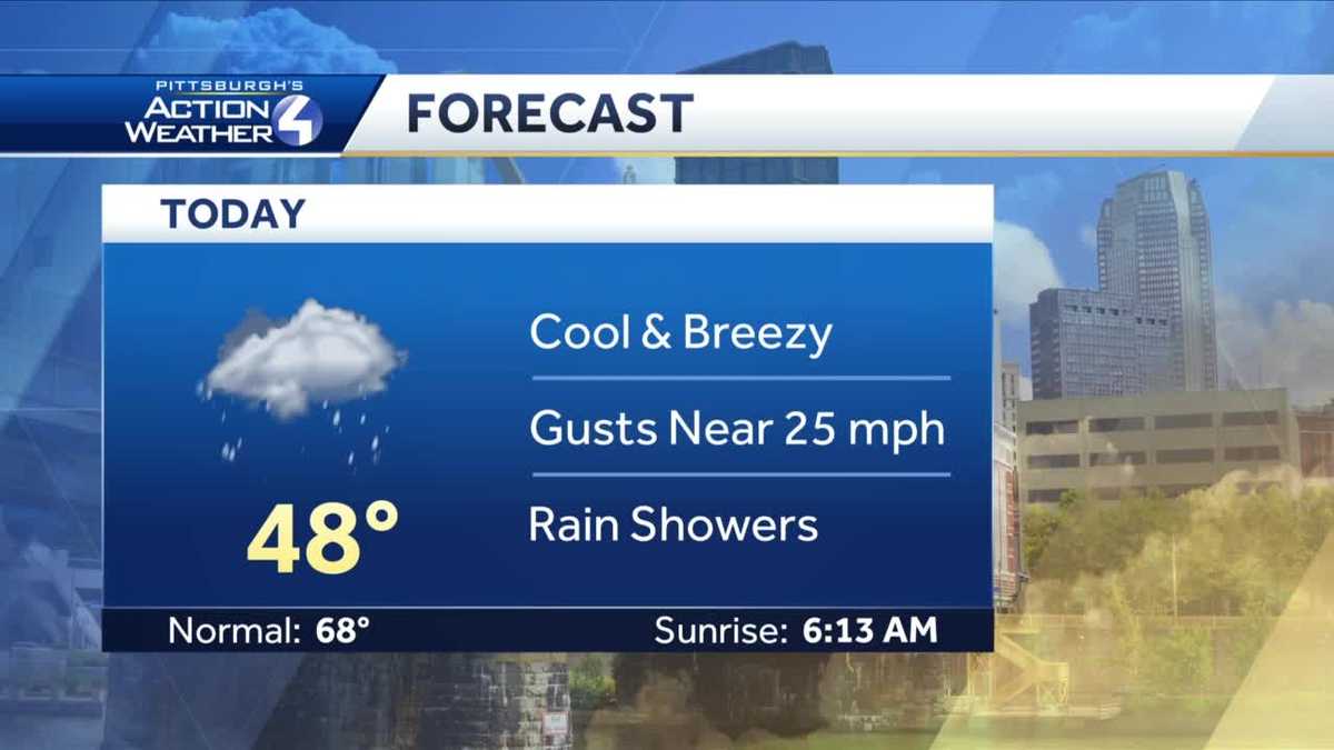Cool and breezy with rain showers