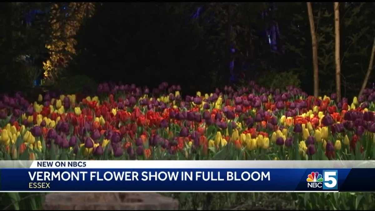 Vermont Flower Show is in full bloom