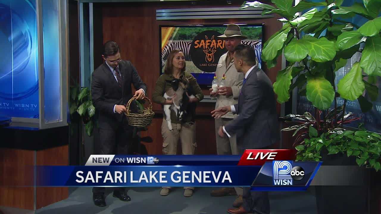 safari lake geneva reviews