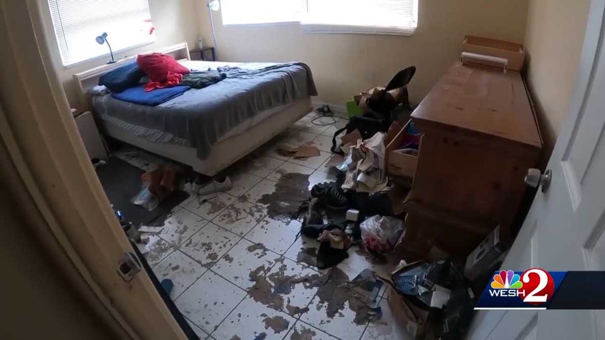 Flood insurance a nightmare in Florida after Hurricane Ian