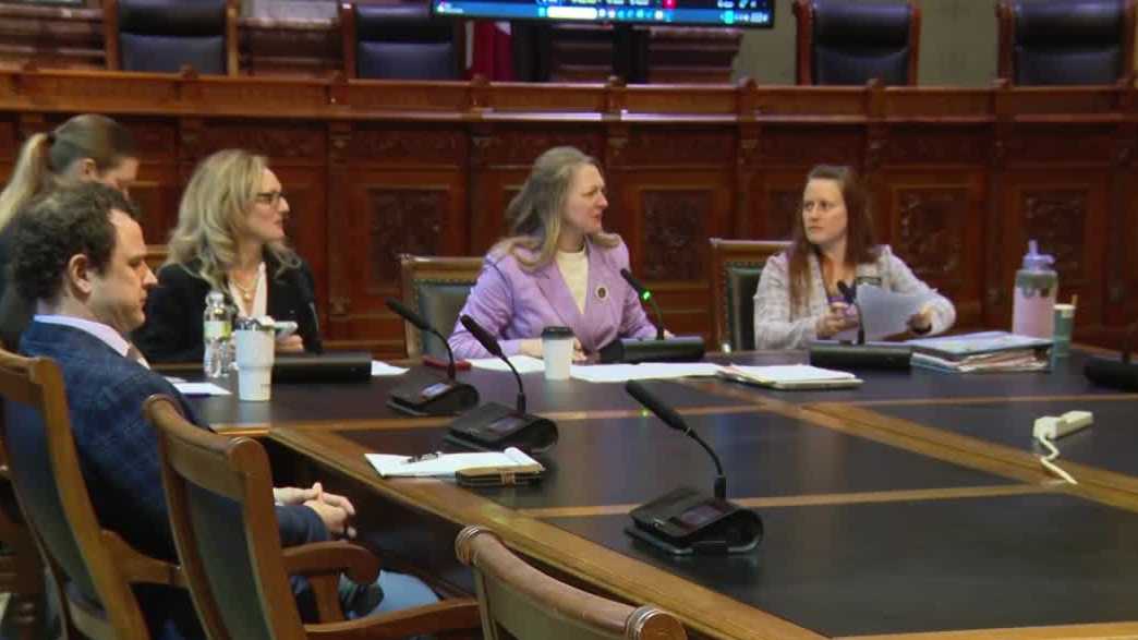 Bill banning schools from teaching about gender theory passes Iowa House subcommittee