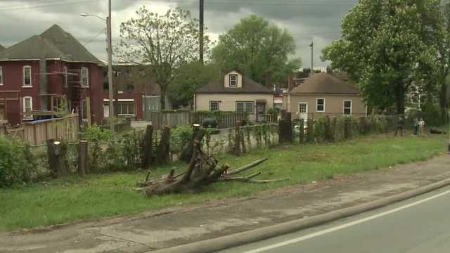 Louisville neighbors upset over tree cutting, activists warn it could become more common - Vimarsana News