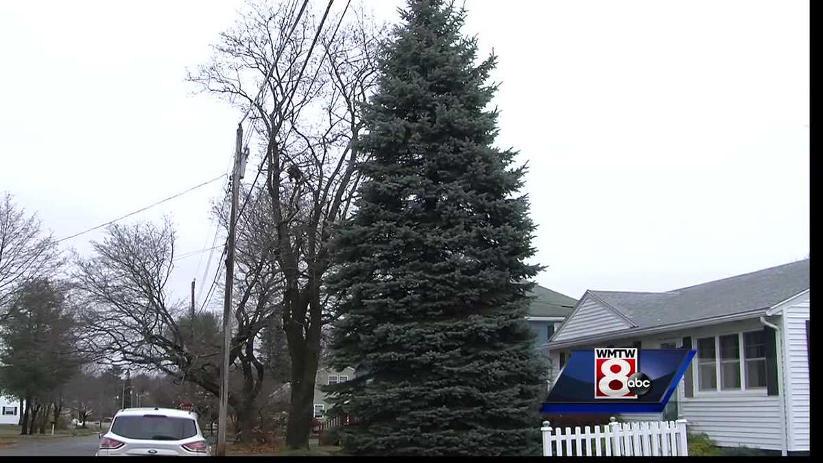Portland finds its Christmas Tree