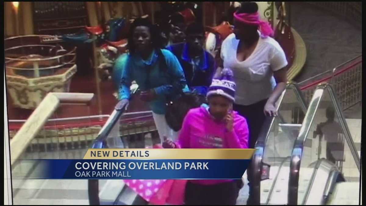 Police release surveillance photos in Oak Park Mall robbery